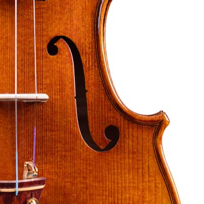 Beautiful Antique Violin 4/4 – Handcrafted, Warm Tone, Case & Bow Included #B2 image 4