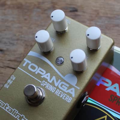 Catalinbread "Limited Topanga Gold and White" 100 Units only image 4