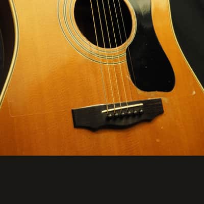 Guild D-55 TV Model 1971 image 9