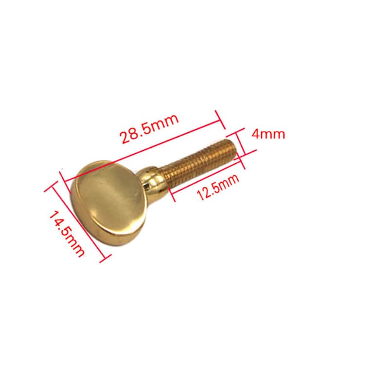 50PCS Clarinet Saxophone Sax Neck Tightening Screws Gold image 1