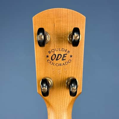 Ode Magician 5-String Openback Banjo 12 inch Cherry image 17