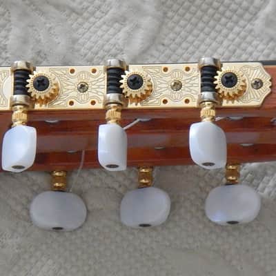 Esteve Alegria crossover cutaway / lattice braced / cedar top image 9