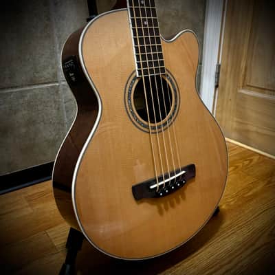 Ibanez AEB105ENT image 1