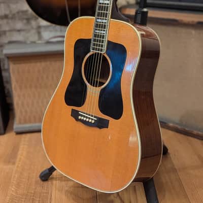 1977 Guild D-55 (Lefty) image 6