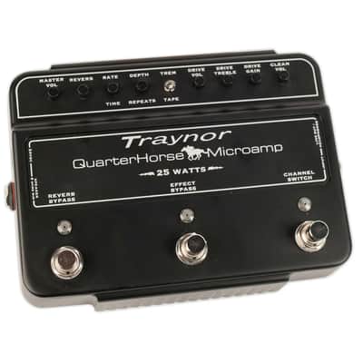 Traynor DH25H QuarterHorse Microamp 25-Watt Stompbox Guitar Amplifier