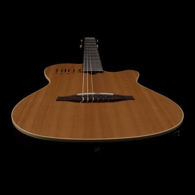 Godin Multiac Nylon Encore Classical Acoustic-Electric Guitar, Natural (includes Gig Bag) image 5