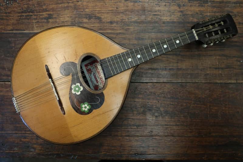 Ermelinda Silvestri Mandolin image 1