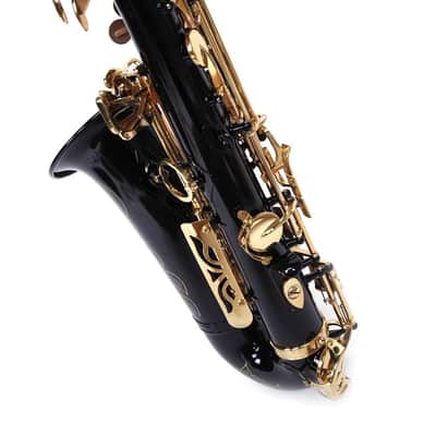 Black & Gold Alto Eb Saxophone Brass Alto Sax with Case, Tuner, Strap, Cleaning Kit & Accessories image 3
