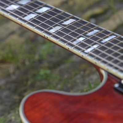 Eastman T486B - Classic image 12