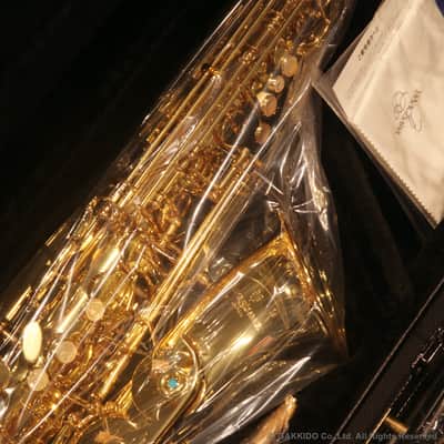 Yanagisawa A-WO1 Brass model Alto Saxophone Lacquer Finish MADE IN JAPAN image 2