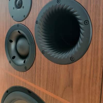 Revival audio  Atalante 7 Evo da esposizione image 11