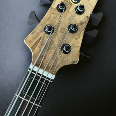 Elrick Basses EVO Gold 5 - Ambrosia Maple 2024 - Satin image 7