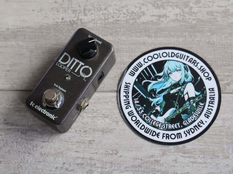 TC Electronics Ditto Looper image 1