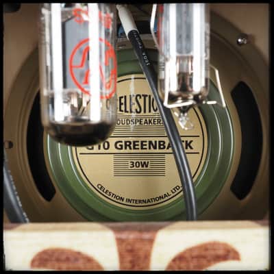 Benson Vinny Reverb Combo - Desert Gertie image 17