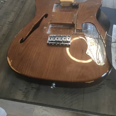 Fender Telecaster Thinline 1973 - 1978 - Walnut (Mocha) image 21