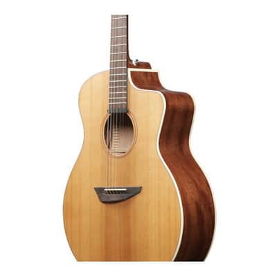 Ibanez PA230E 6-String Acoustic Electric Guitar (Natural Satin) image 3