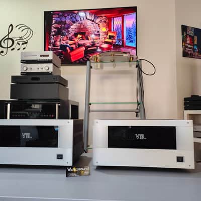 VTL MB-125 COPPIA FINALI MONO MONOBLOCK VALVOLARI TUBE POWER AMP VTL- MB125  Silver image 3