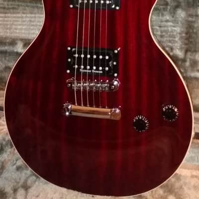 Washburn P-3 1998 USA Custom Shop image 14