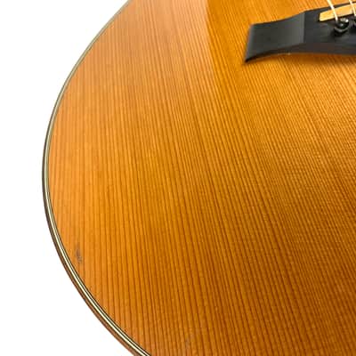 Taylor 516ce with ES1 Electronics - Cedar Top Mahogany back and sides  Premium Taylor Hardshell Case. image 15