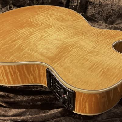 Guild F65ce Westerly Rhode Island Limited Top of the Line Model image 12