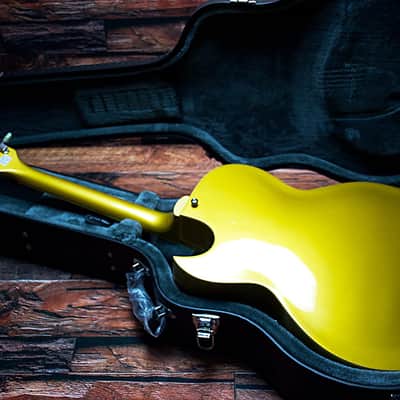 Epiphone Hollow Body ES-295 - GOLD image 23