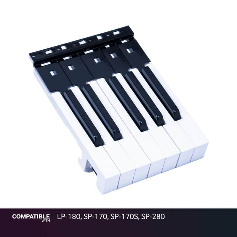 Korg 12-Note Key Assembly for LP-180, SP-170, SP-170S, SP-280 image 1