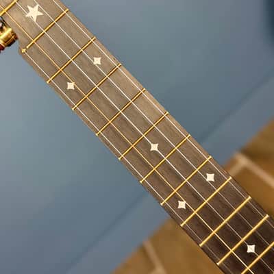 Rickard 12" Cherry Little Wonder Banjo with Antiqued Brass Hardware image 14