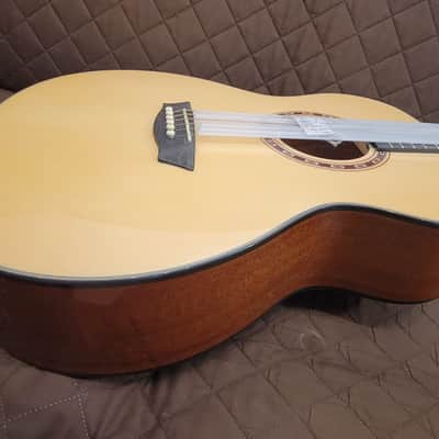 Washburn AF5K Apprentice Series Folk Body Spruce Top Mahogany Neck 6-String Acoustic Guitar w/Hard Case image 7