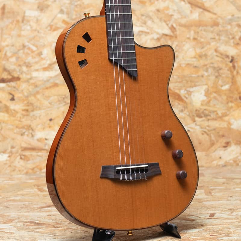 Cordoba Stage Guitar TRADITIONAL CD image 1