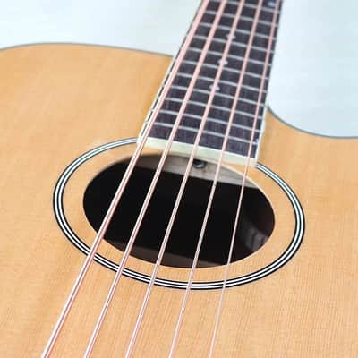 Custom 5 String Acoustic Electric Bass, Mahogany Body, Spruce Top Body image 9