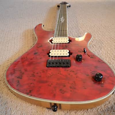 Mayones Regius 25th Anniversary image 5