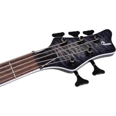 Jackson X Series Spectra Bass SBXQ V 5-String Electric Guitar, Laurel Fingerboard, Transparent Black Burst image 8