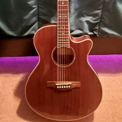Ibanez AEG12II-NMH Beginner Guitar w/ Hard Case image 1