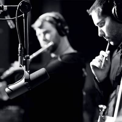 Shure SM7B image 5