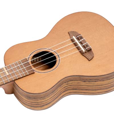 Ortega RUTI-CC-L Timber Series Solid Cedar Top Okoume Neck 4-String Concert Ukulele For Left Hand Player w/Gig Bag image 8
