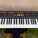 Roland EP-09 61-Key Electronic Piano 1974 - 1978 - Black