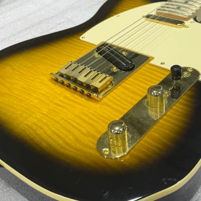 Richie Kotzen Fender Telecaster image 6