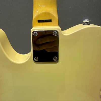 The light Crust Doughboys tele guitar image 6