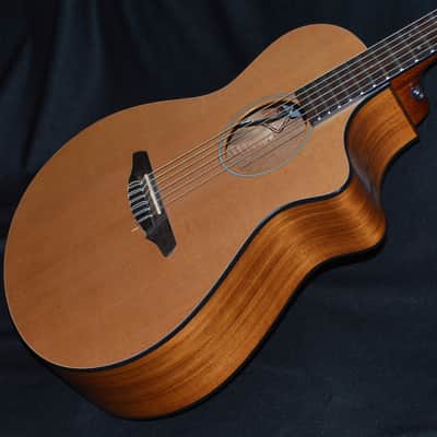Breedlove Passport N250/C0e ~2014 Natural image 4