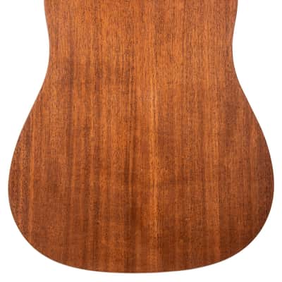 Peavey DELTA WOODS DW-2 SOLID TOP DREADNOUGHT ACOUSTIC GUITAR WITH CASE image 2