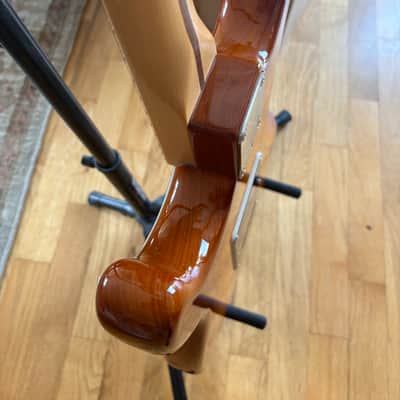 Fender Limited Edition Channel Bound American Professional Ash Stratocaster 2018 - Honeyburst image 5