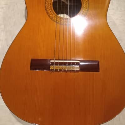 M.G. Contreras 1985 M-14 Spanish Classical Guitar (Guitarra Estudio) image 4