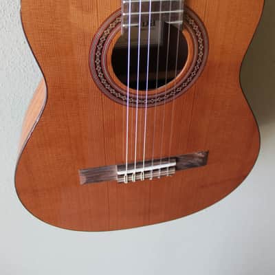 Brand New Cordoba Iberia Series Requinto Nylon String Classical Guitar - B Stock image 4