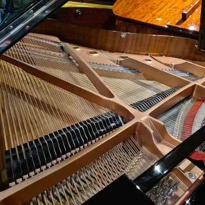 Used Moutrie  Grand Piano Black 2004106 - Sherwood Phoenix Pianos image 7