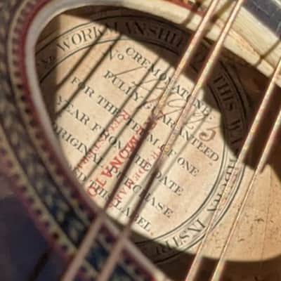 Washburn Model 130 1895-1900 - Gloss image 19