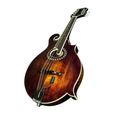LR Baggs Radius-M - Mandolin Pick Up image 2