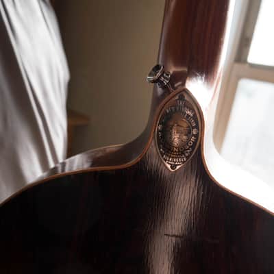 The Windsor Artiste Model 4 Zither Banjo Circa 1910 image 2
