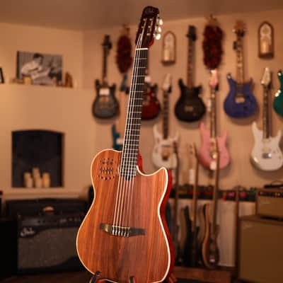 Godin MultiAc Nylon SA Acoustic-Electric Guitar Rosewood 9902 Top image 2
