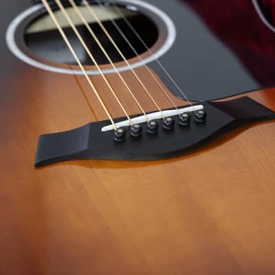 Taylor 50th Anniversary 217e-SB Plus LTD | Sunburst image 6