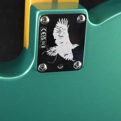 Fender Susan Tedeschi Telecaster Aged Caribbean Mist Rosewood Fingerboard image 7